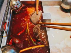 捞派毛肚-海底捞火锅(老城根店)