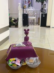 -紫洁俪方（北京）医疗美容