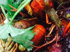 -虾弄弄海派小龙虾·牛羊蝎子火锅