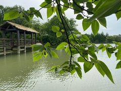 -苏州太湖国家湿地公园