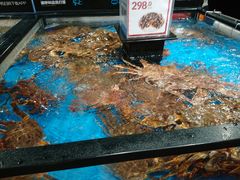 -盒马鲜生(曜一城店)