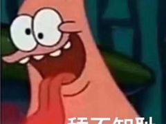 -季季红火锅(动壹店)
