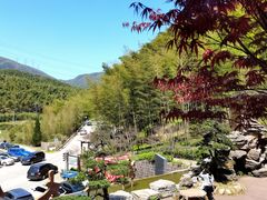 -宁波浙东大竹海景区