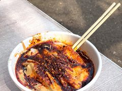 -清真·宏顺祥卤汁凉粉(大皮院店)