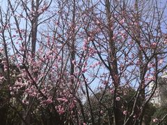 -上海市龙华烈士陵园