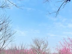 -竹海听涛生态山庄