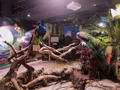 -正佳雨林生态植物园