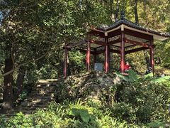 -广州市石门国家森林公园