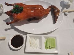 -詠春园