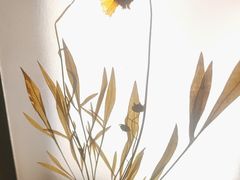 -予厘·推拿按摩·精油SPA(憩舍长安店)