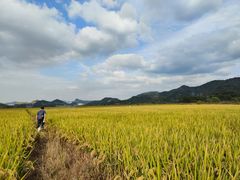 -东钱湖旅游度假区