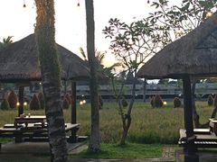 -Bebek Joni Restaurant