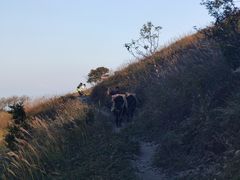 -萍乡武功山风景名胜区