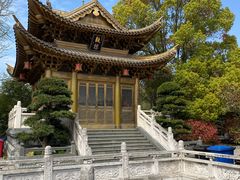-上海东林寺(金山区)