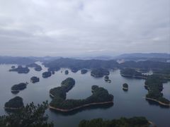 -浔味·山屿湖·正宗全鱼宴老字号