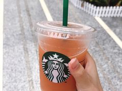 冰摇桃桃乌龙茶-星巴克(深圳世界金融中心店)