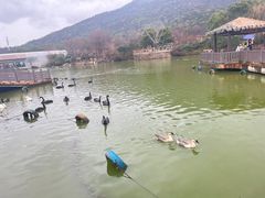 -无锡动物园·太湖欢乐园