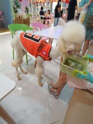 -Moni星球萌宠·小马宝莉·灵蛇·高端高阶全萌宠互动体验俱乐部(红豆国际广场店)
