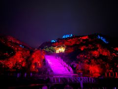 -印象普陀
