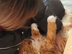 -平行世界·猫咖(首经贸店)