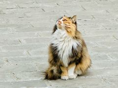 -宣南文化博物馆