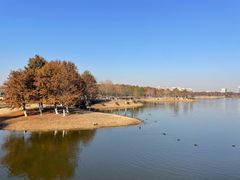 -春花秋色城市公园