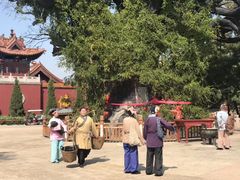 -大槐树寻根祭祖园