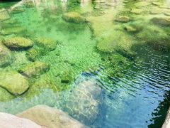-崂山九水游览区