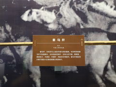 景点-内蒙古博物院