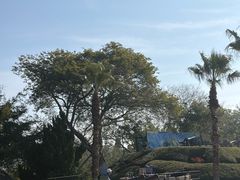 -胡里山炮台