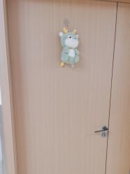 -上海市嘉定区妇幼保健院