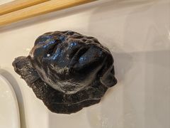 -添福来墨鱼饺子 · 海鲜东北菜(黄浦路店)