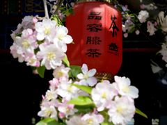 -荣国府