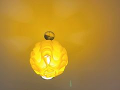 -文东记(马里士他店)