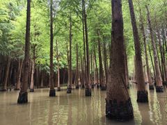 -捞渔河湿地公园