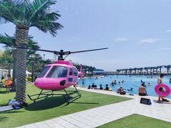 -秦皇岛乐岛海洋王国