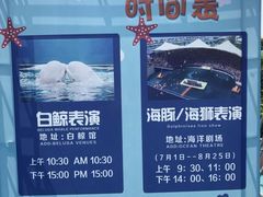 -秦皇岛乐岛海洋王国