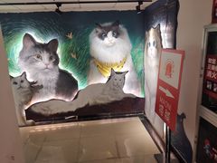 -猫腻·猫咖·撸猫馆(星光大道店)