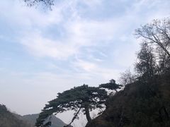 -泰山风景名胜区