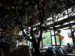 android_upload_pic-山有花啡餐厅(常营总店)