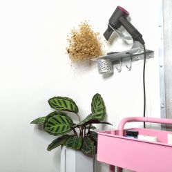 -型走Symbol造型