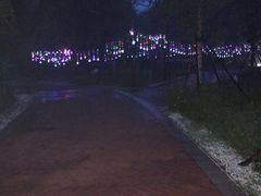 -林栖谷森林康养度假区