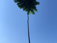 -特种渔场