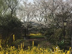 -白马涧龙池景区