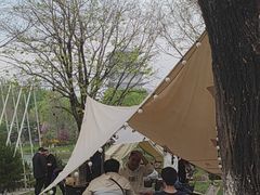 -Supine Bistro溯泮餐厅