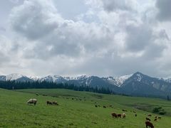-新疆那拉提国家旅游度假区