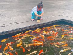 -广州白天鹅宾馆