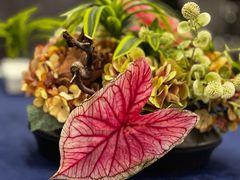 -金海华·赫本时光城市风尚餐厅(现代传媒广场店)