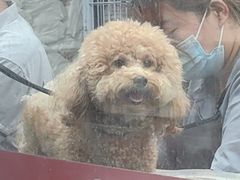 -宠物家(大兴旧宫店)