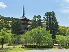 -醍醐寺